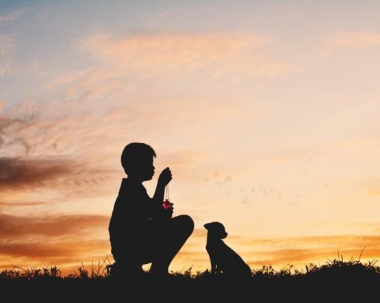 [freepicdownloader.com]-silhouette-friends-sitting-against-sky-sunset-medium